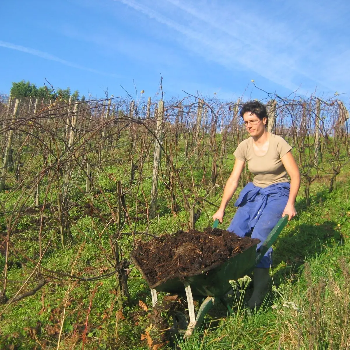 Amendement organique à la brouette