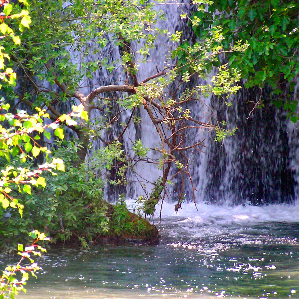 Cascade du Tombereau