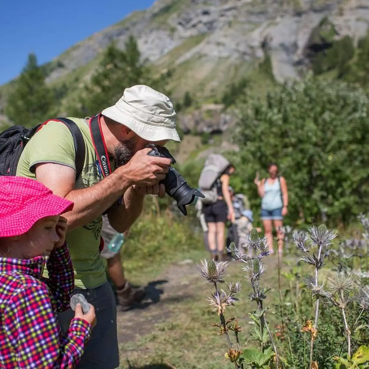 Vallon du Fournel - Chardons bleus