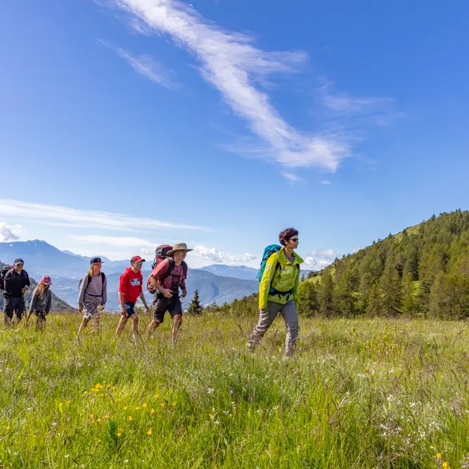 Randonnée avec les accompagnateurs en montagne