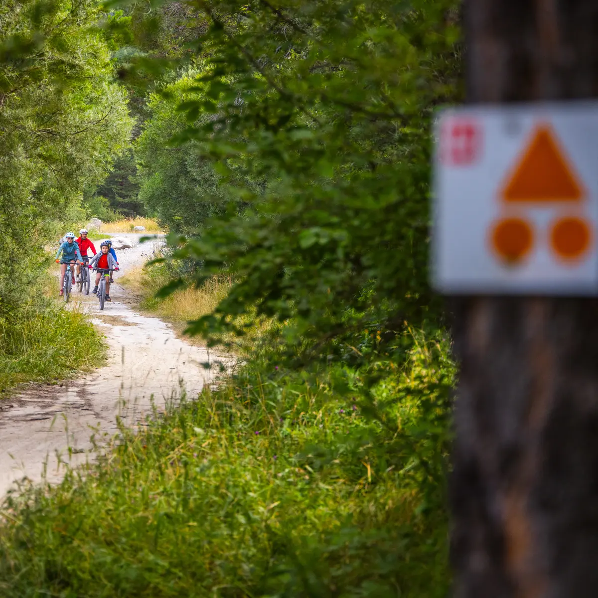 Sortie VTT en Clarée