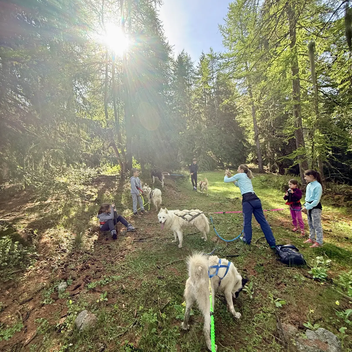 Cani-balade