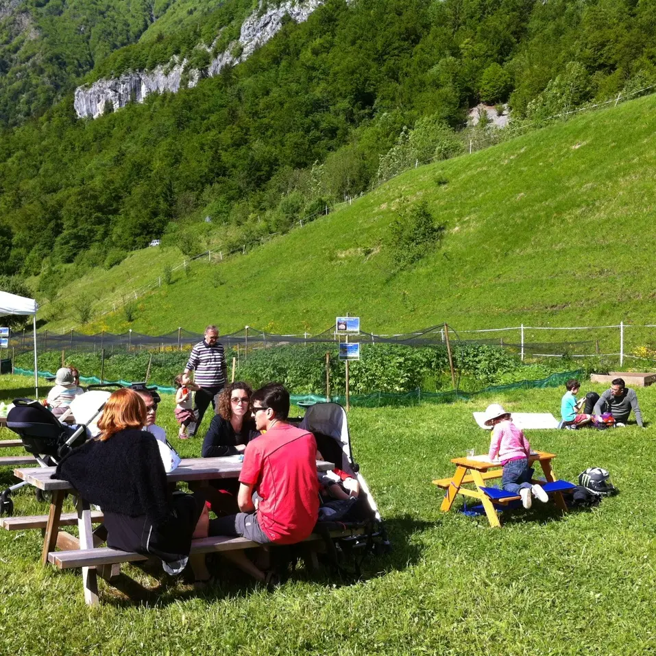 La Ferme aux Escargots d'Arno