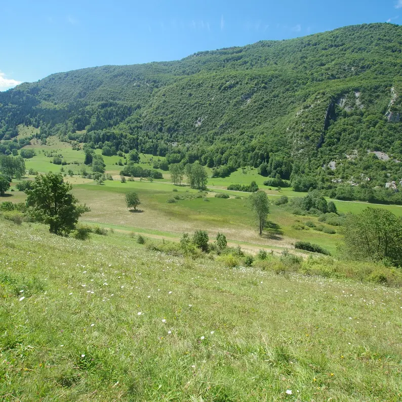 Le marais de Nécuidet