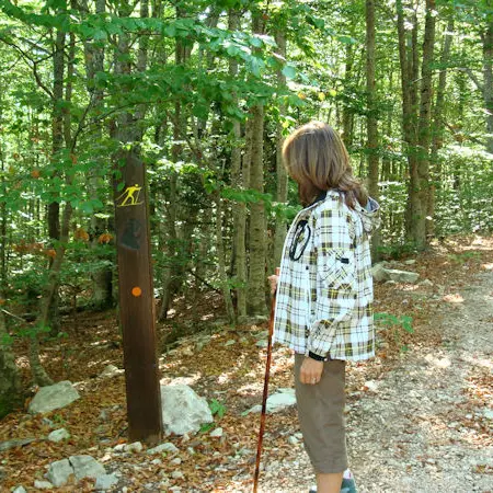 V. Biset - Principale