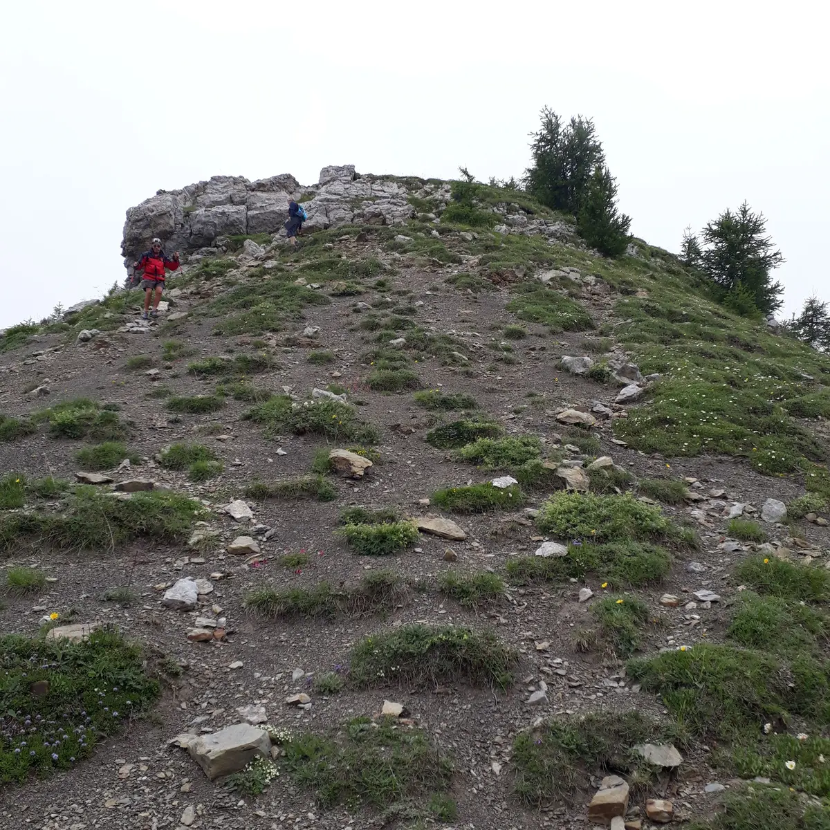 Descente entre sommet et col du Palastre