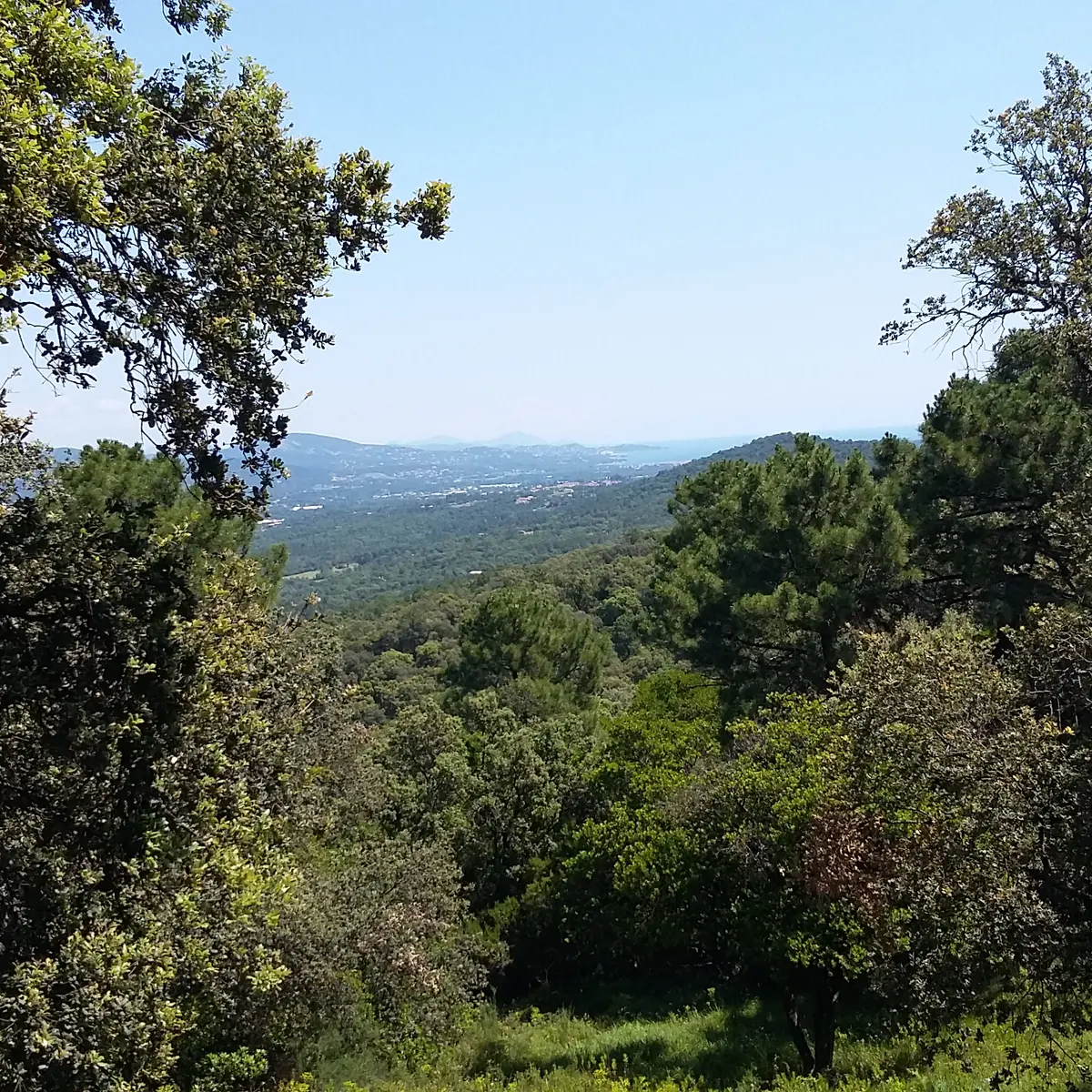 Vue sur le Golfe de St Tropez