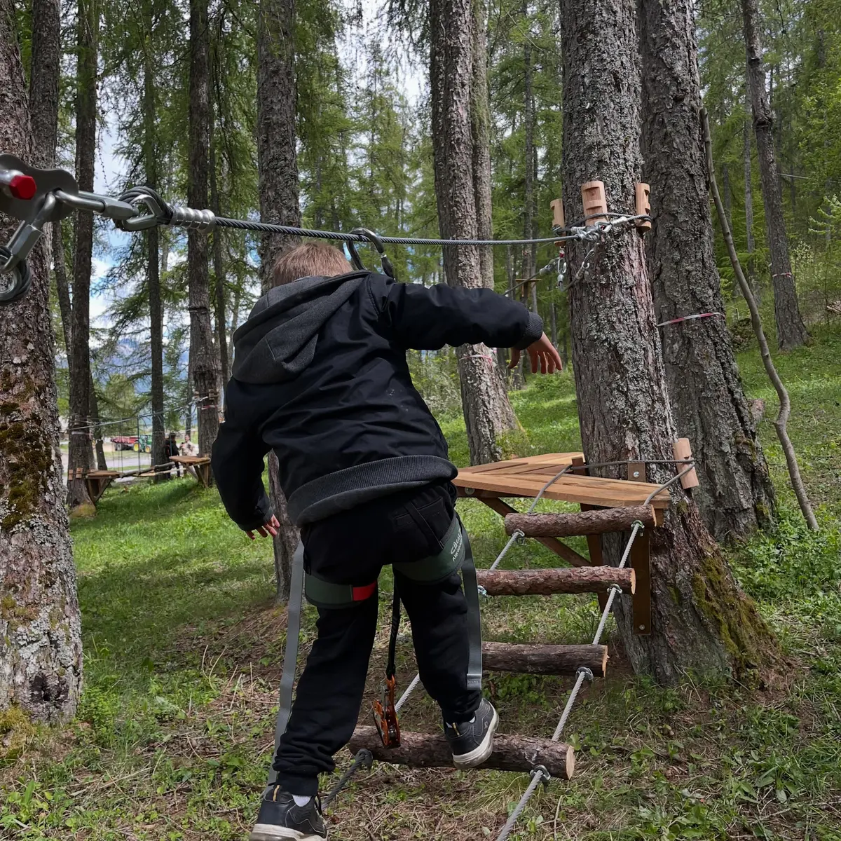 Réallon Aventure - Parcours acrobatique en forêt