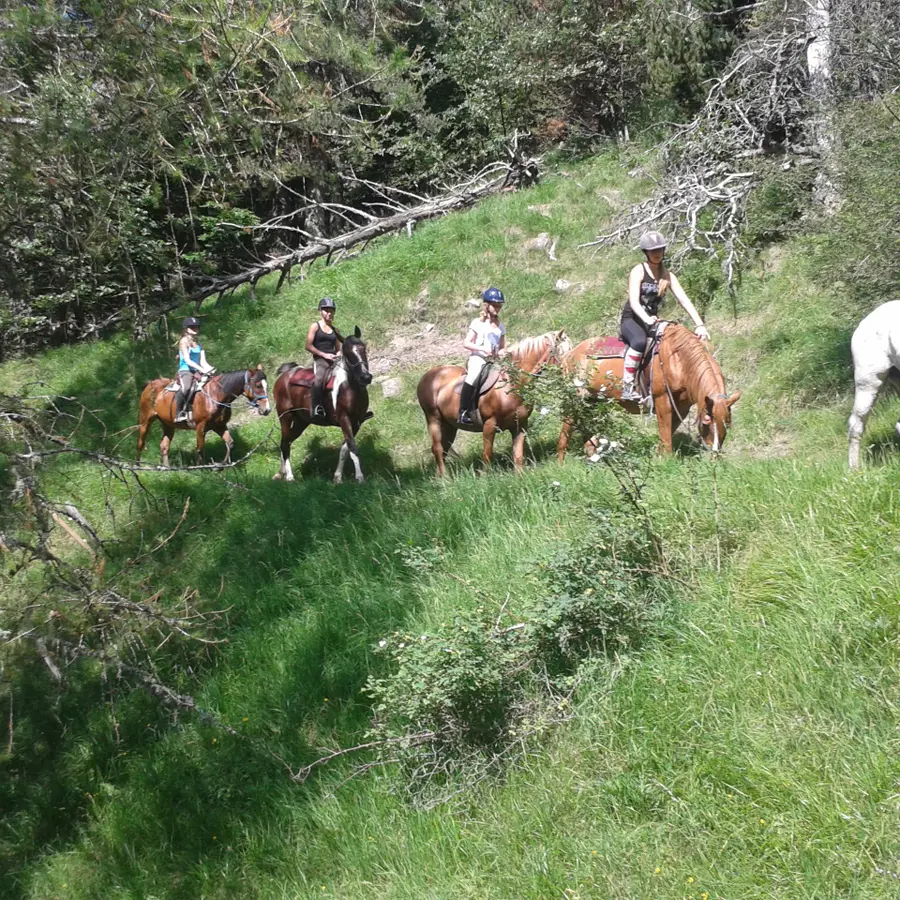 Centre équestre Le Rocher, St Bonnet-en-Champsaur
