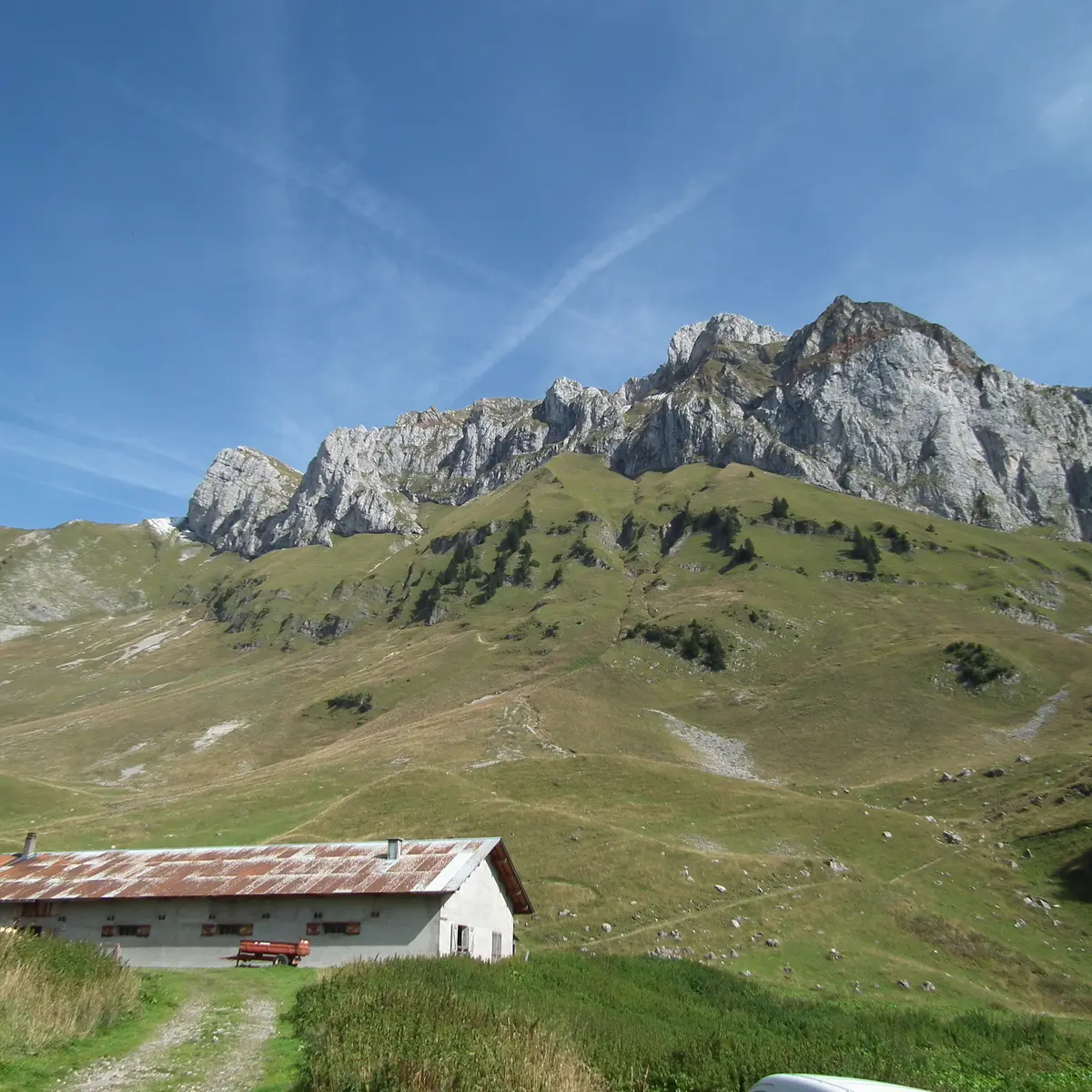 Vue sur les Cornettes depuis le hameau de Bise