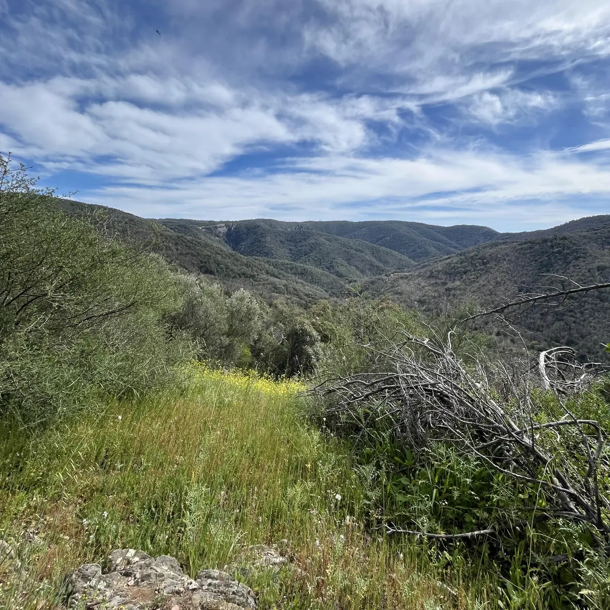 Le Massif des Maures
