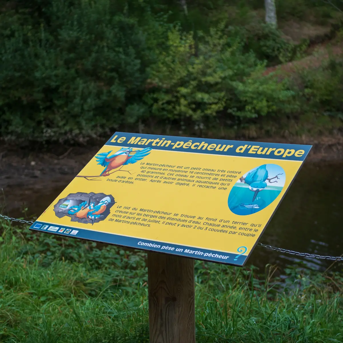 Plan d'eau de St Clément