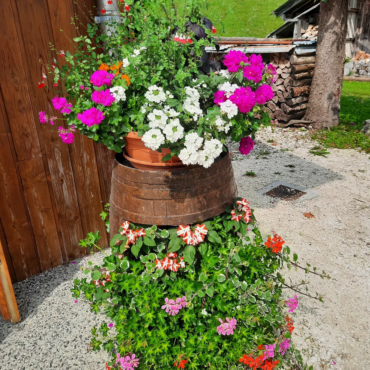 Fleurs