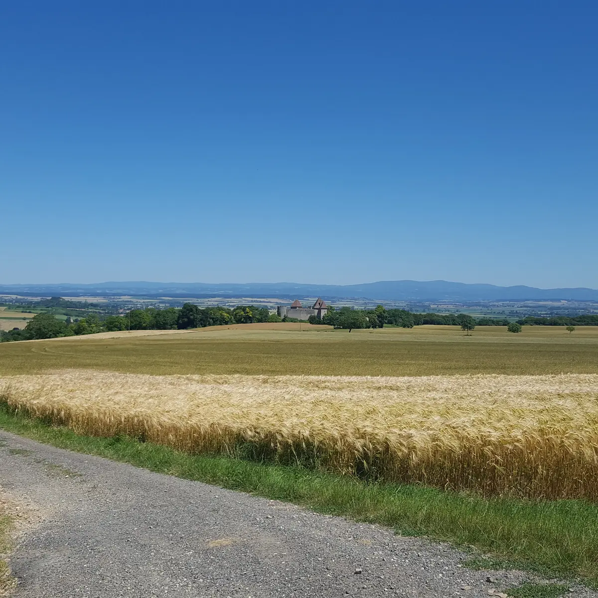 Panorama sur la randonnée Le Marais