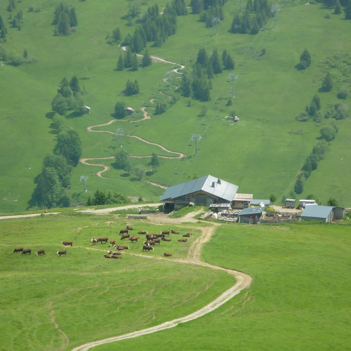 Pistes de descente VTT du Châtelet
