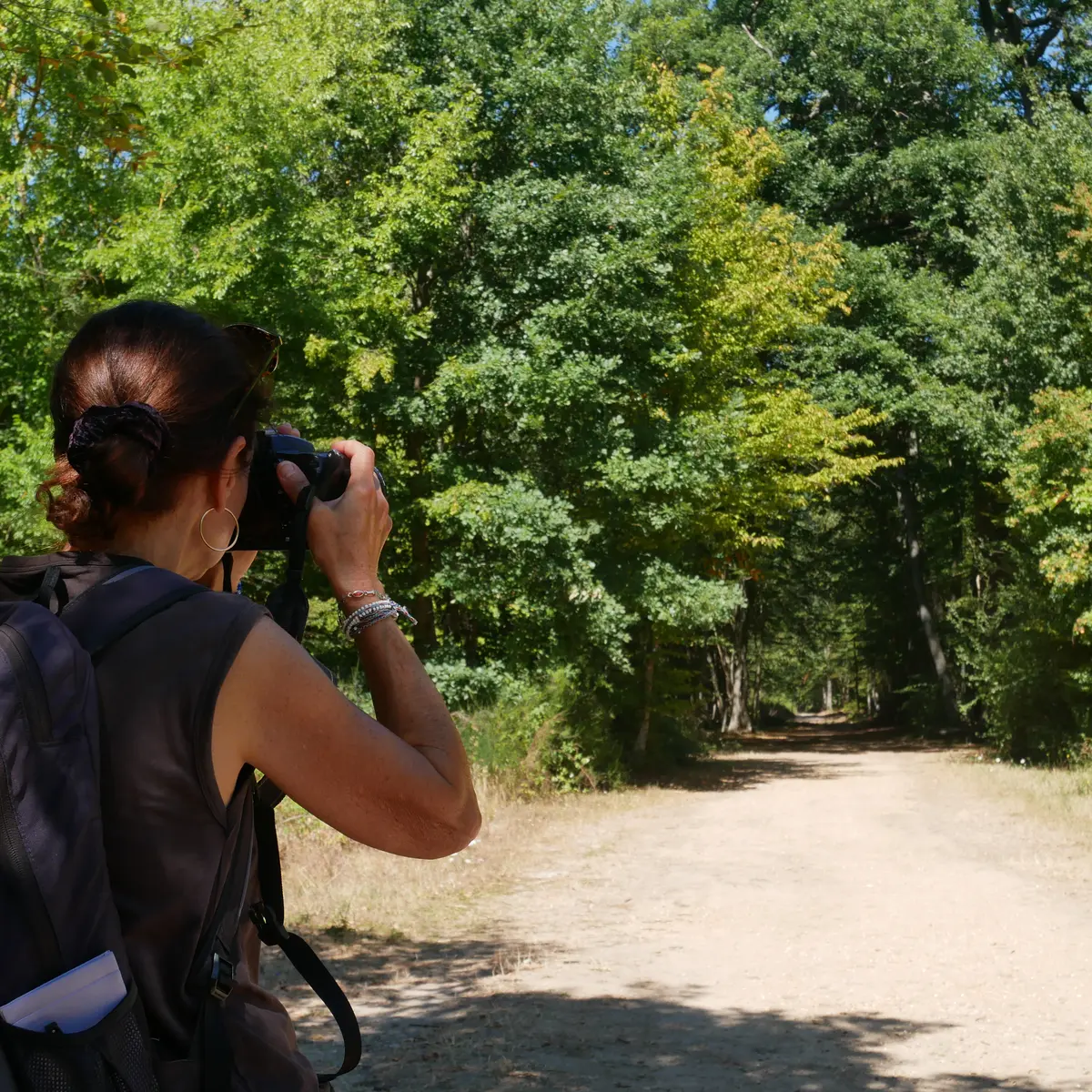 Sentier de l'étoile de Beaumont en forêt de Saint-Germain