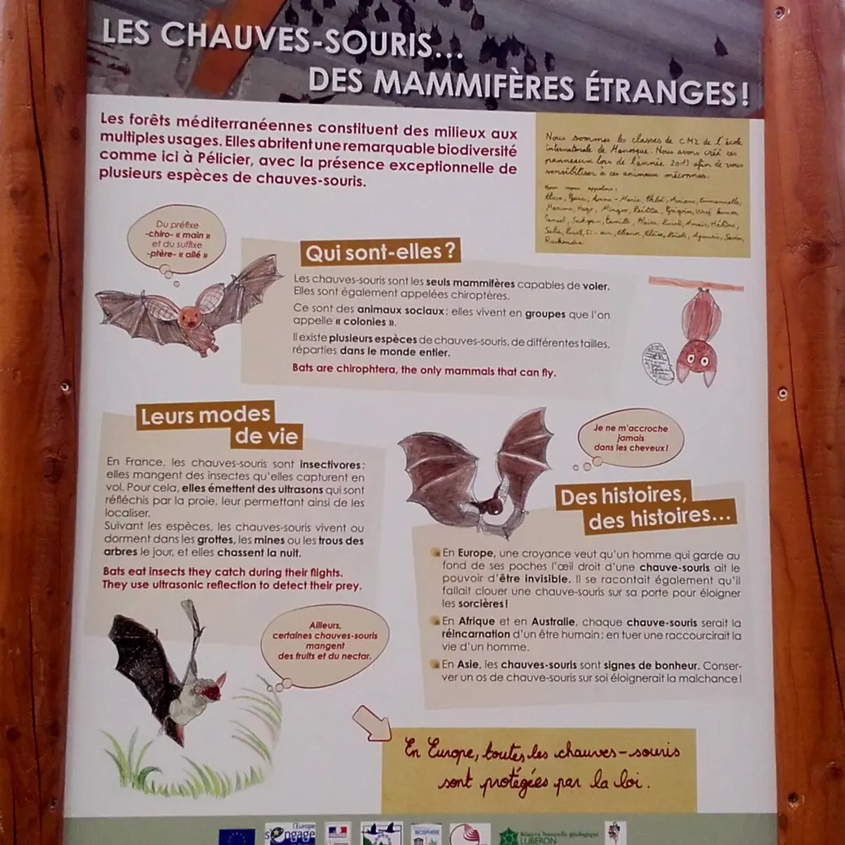 Panneau d'interprétation au Château de Pélicier