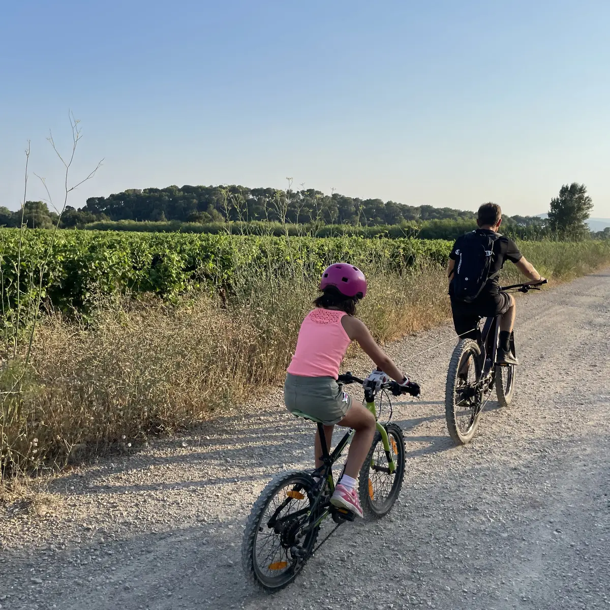 Balade à VTT électrique avec Quad Var  et dégustation de vins au Château de L'aumérade