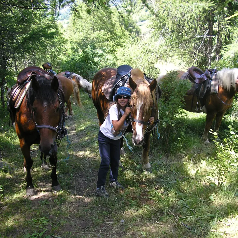 Centre équestre Le Rocher, St Bonnet-en-Champsaur