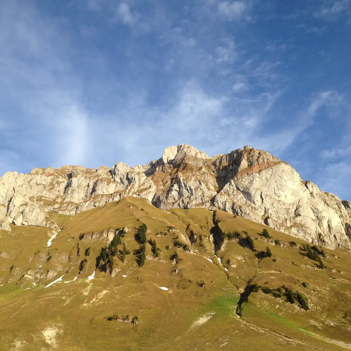 Vue sur le sommet des Cornettes de Bise