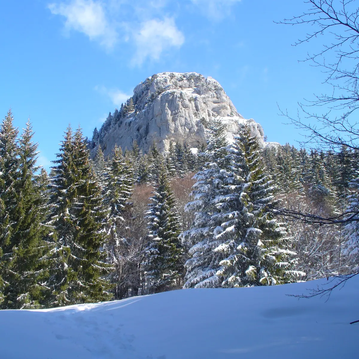 La Cochette en raquettes
