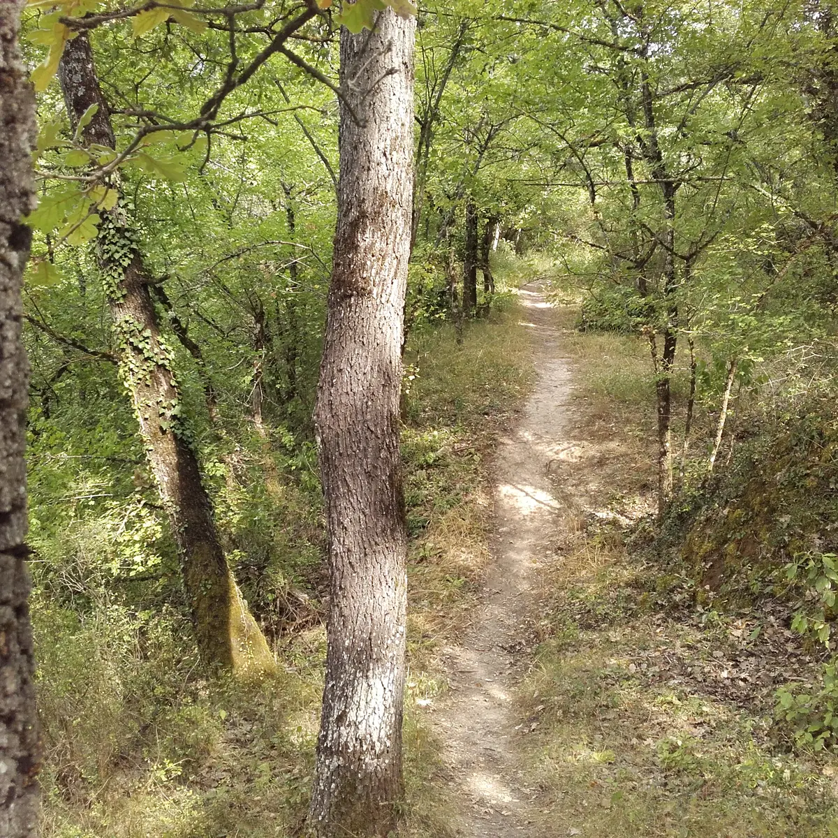 Parcours VTT Grambois