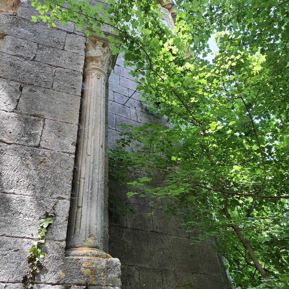 Une oasis de fraicheur
