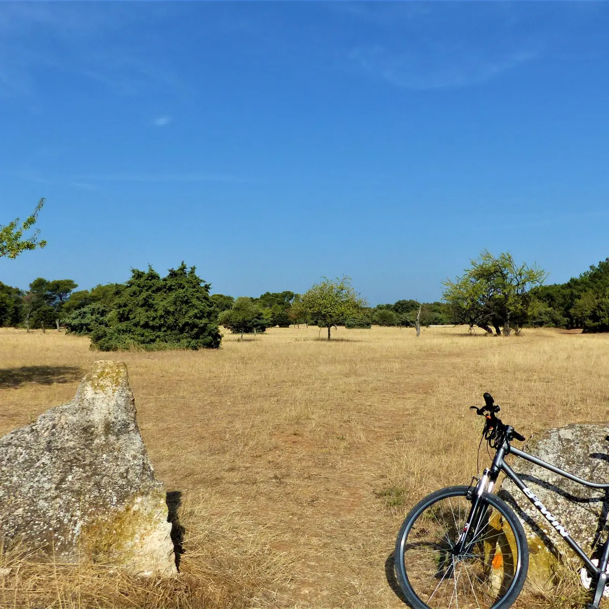 Paysage de la Petite Crau