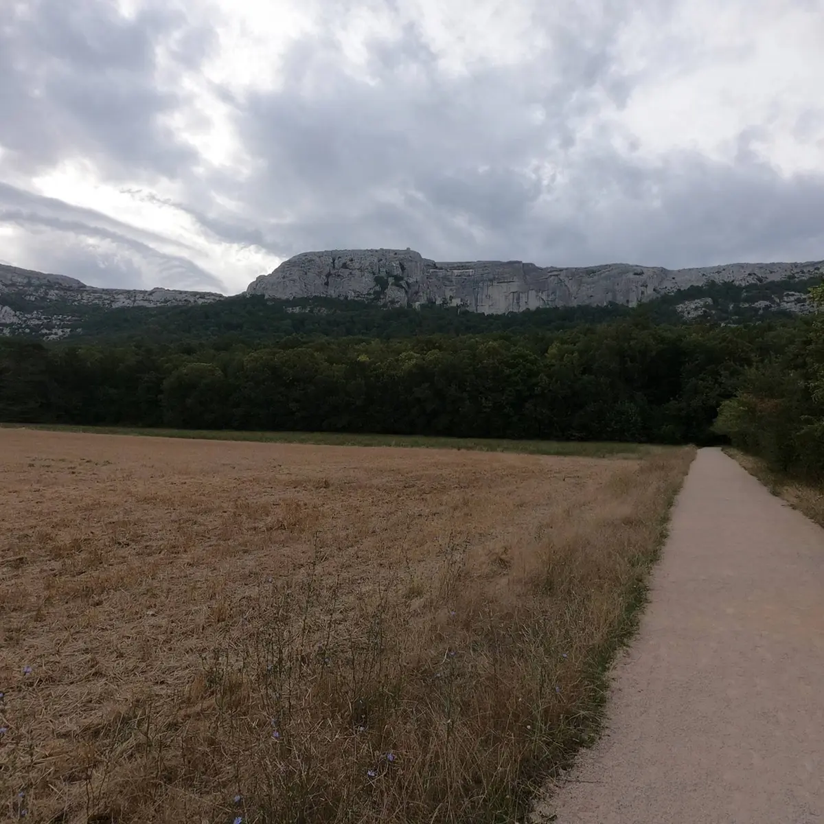 Panaroma sur le massif avec de la végétation au pied et une partie supérieure rocheuse