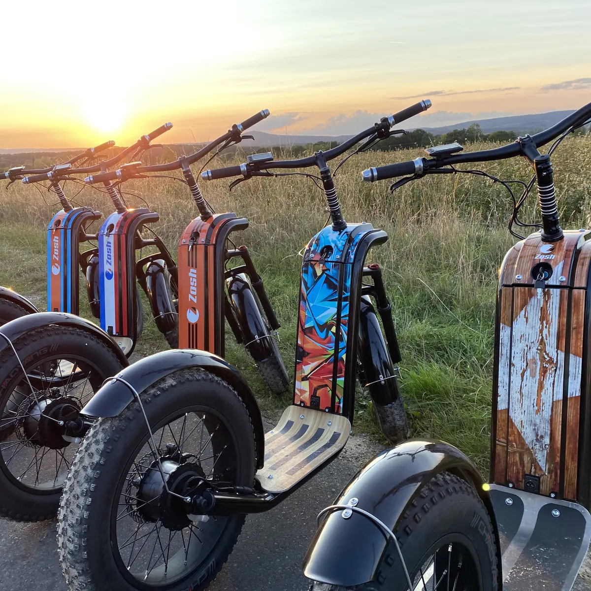 Trottinettes électriques tout terrain