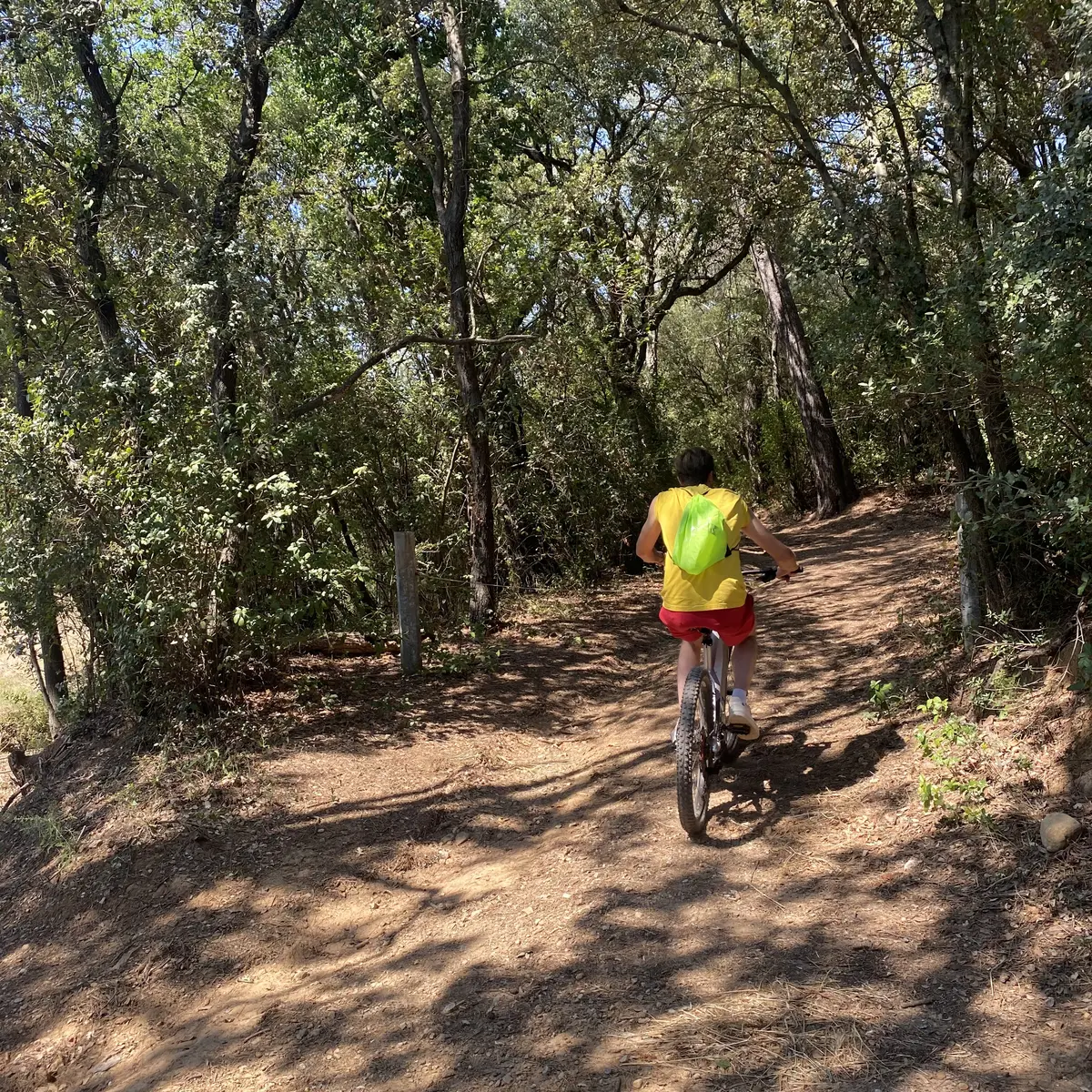 Balade à VTT électrique avec Quad Var  et dégustation de vins au Château de L'aumérade