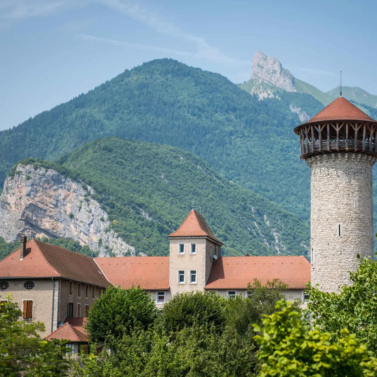 Vue du donjon et du Roc de Viuz