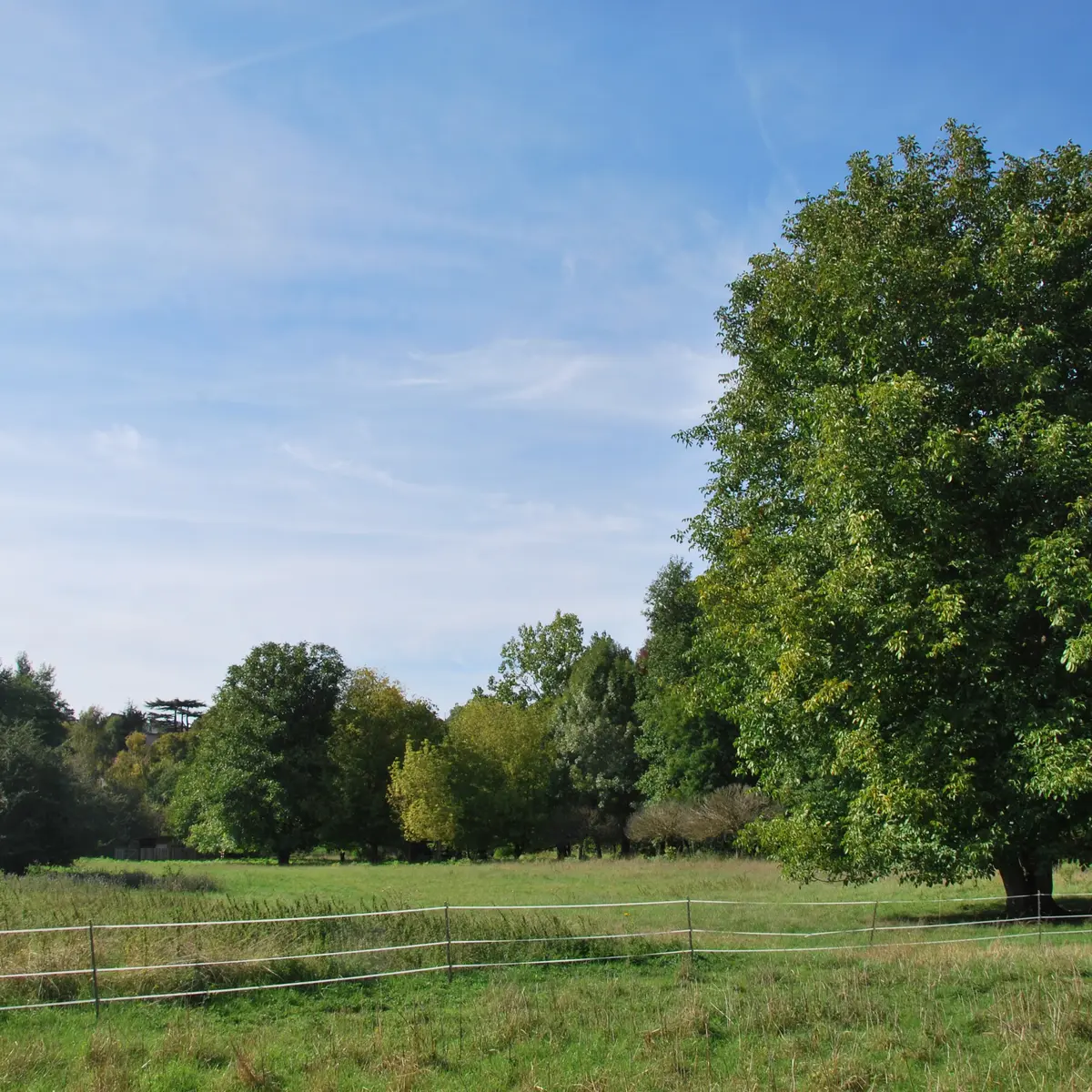 Randonnée au Mesni le Roi la boucle des butineuses