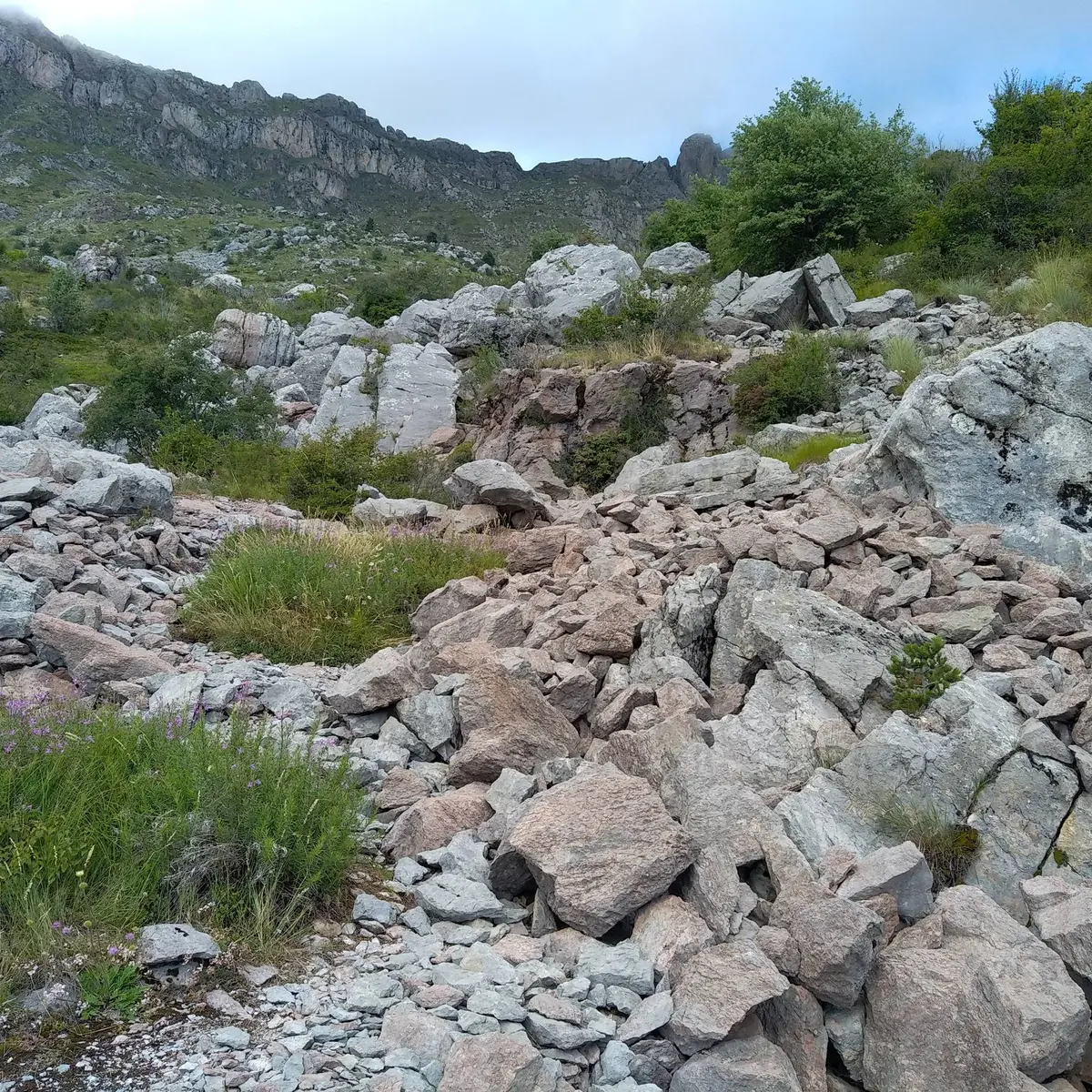 Carrière de Salados