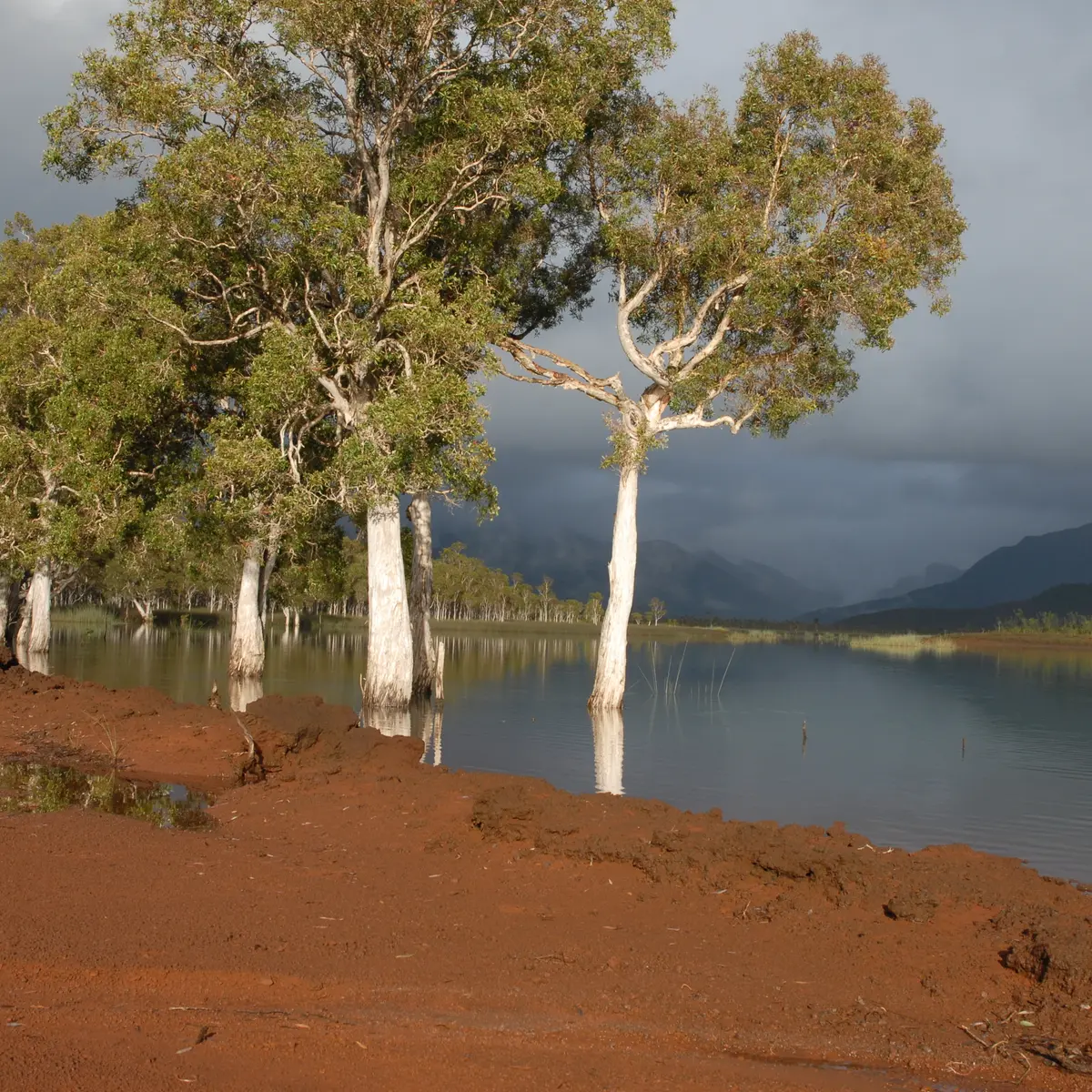 Vallée de la rivière Blanche