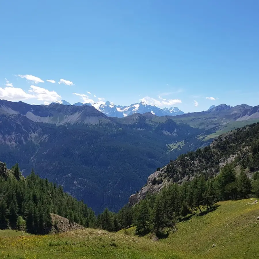 balade rando été activité col