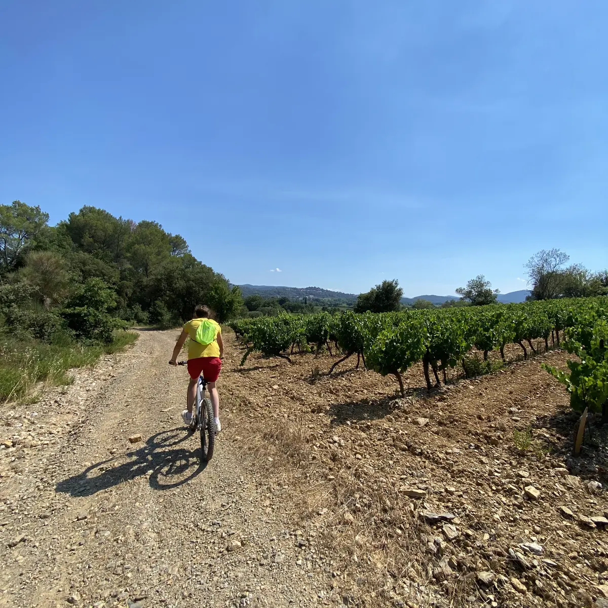 Balade à VTT électrique avec Quad Var  et dégustation de vins au Château de L'aumérade