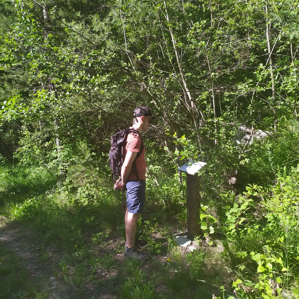 Lecture d'un panneau explicatif du Refuge des oiseaux