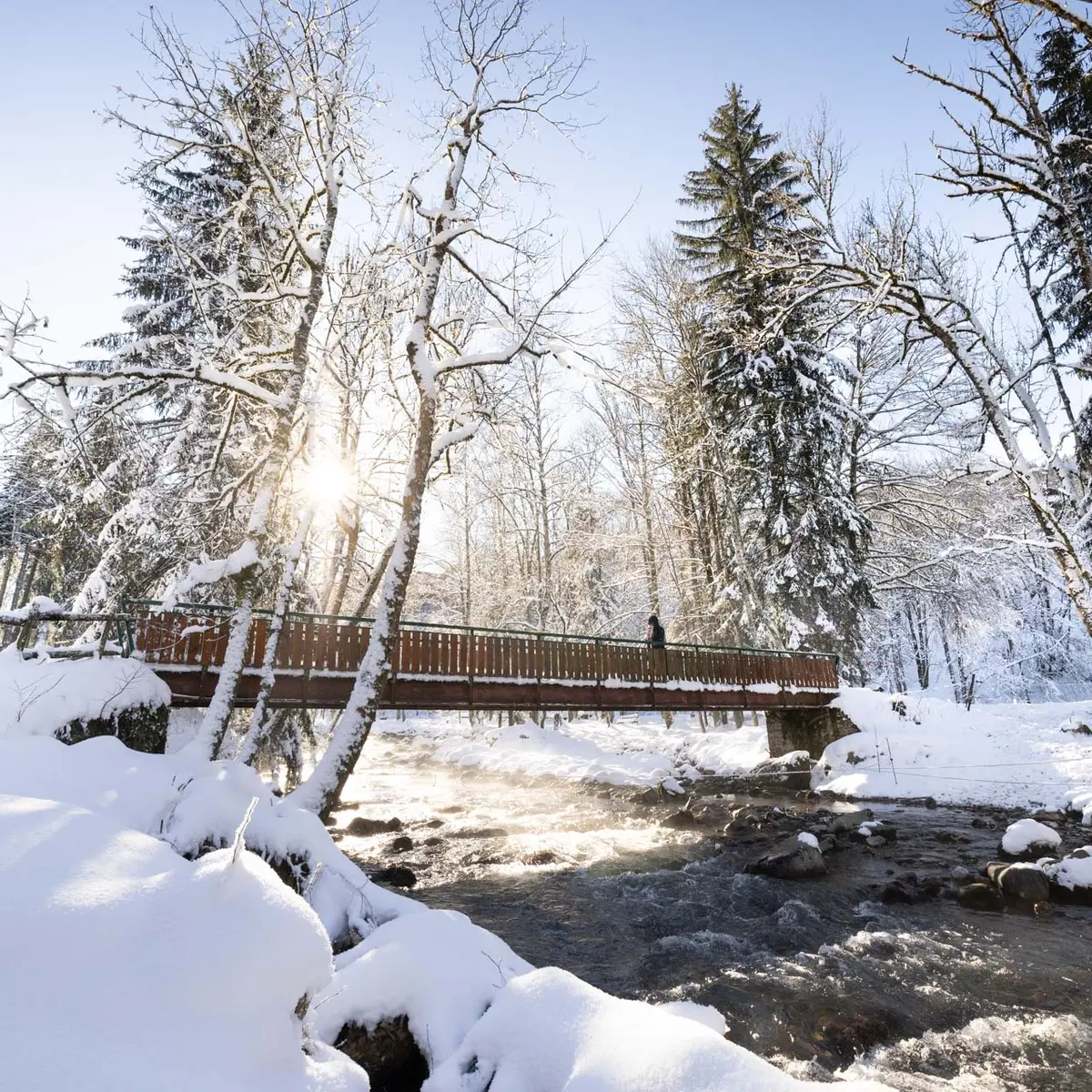 Parc des dérêches hiver