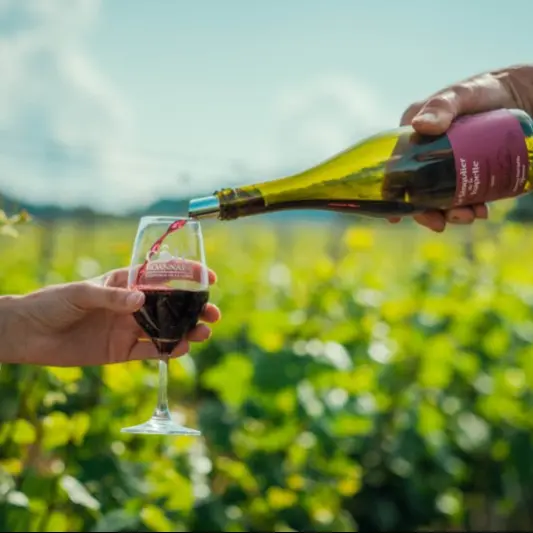 Atelier œnologique_Roanne