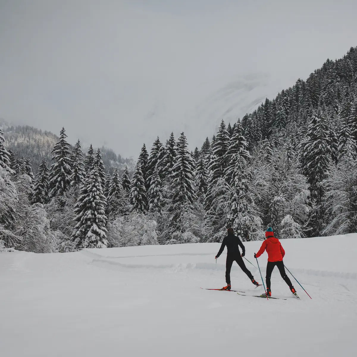 Ski de fond