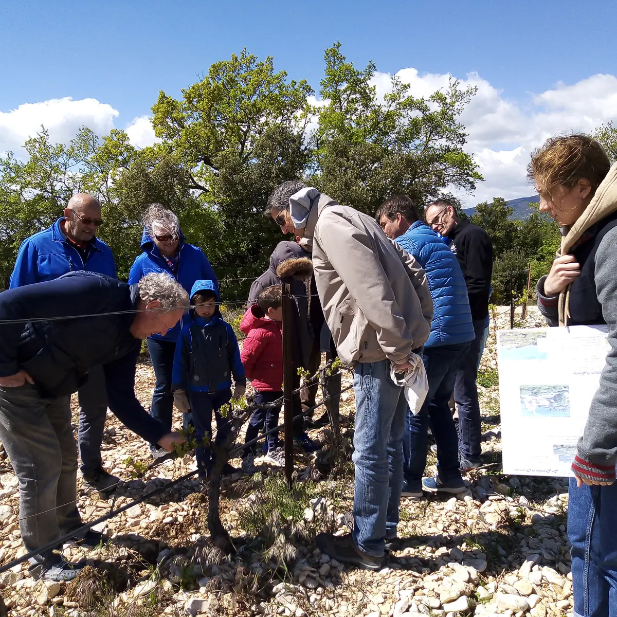 Balade dans les vignes - Domaine les Patys