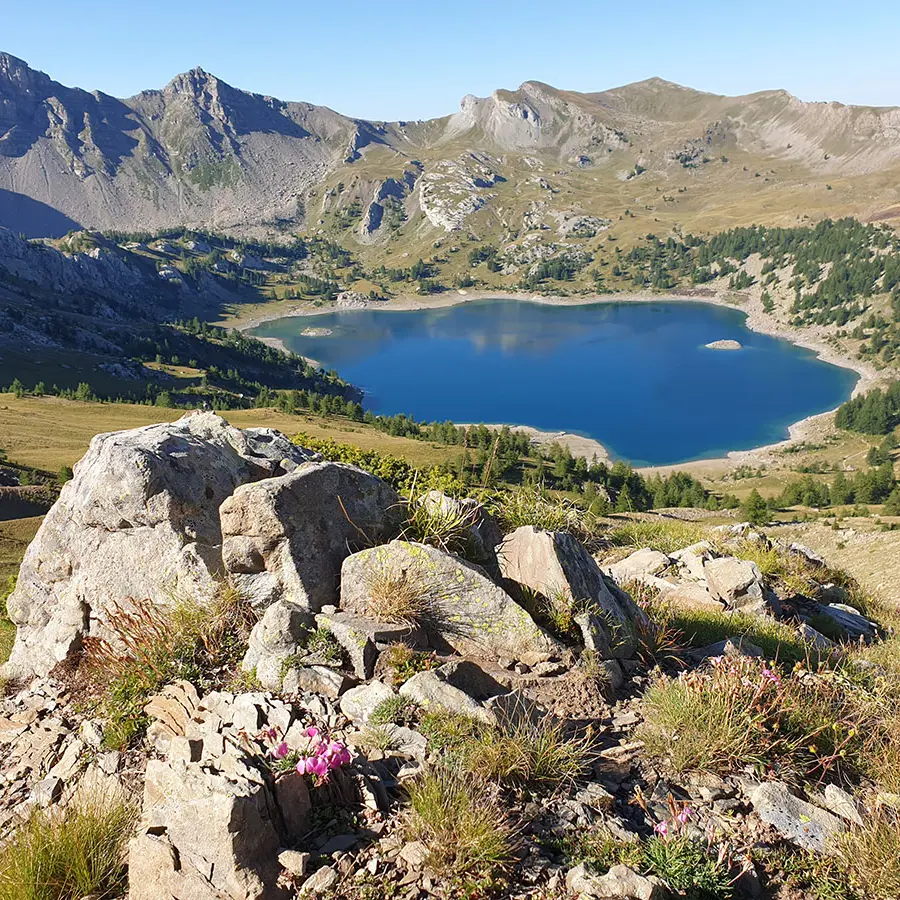 Lake Allos seen from a high vantage point. A vast expanse of water surrounded by mountains and vegetation