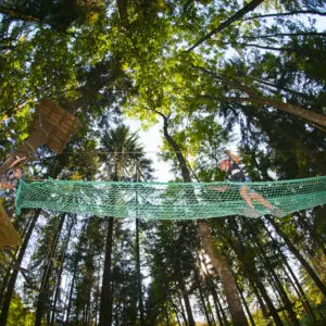 parcours aventure