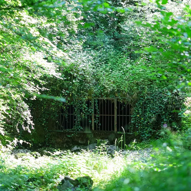 Boucle de la source du Biel_Faverges-Seythenex