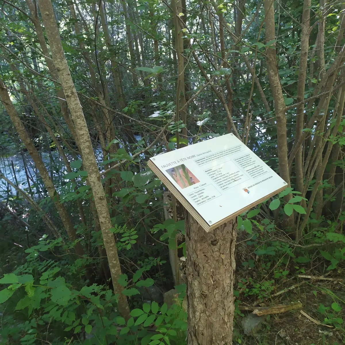 Panneau au bord du torrent des Ayes