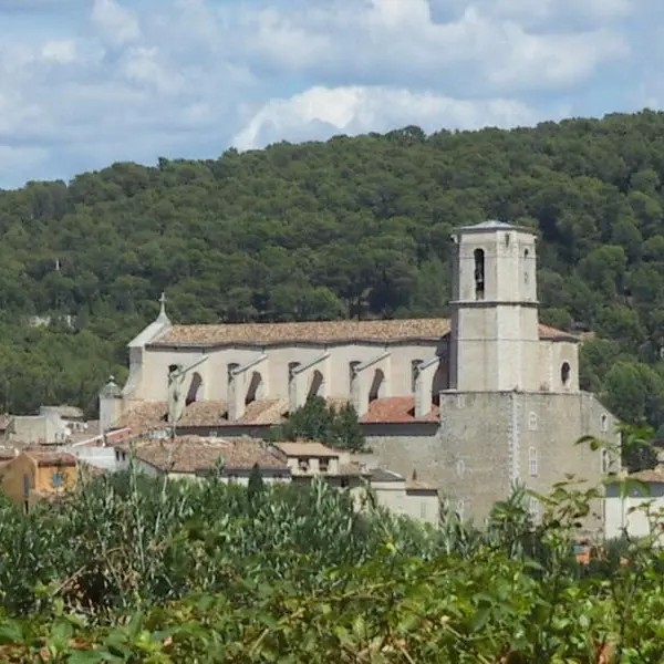 Collégiale St Martin - Lorgues