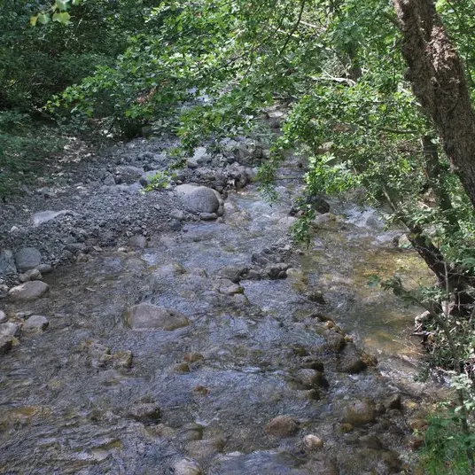 La source de la Bastié