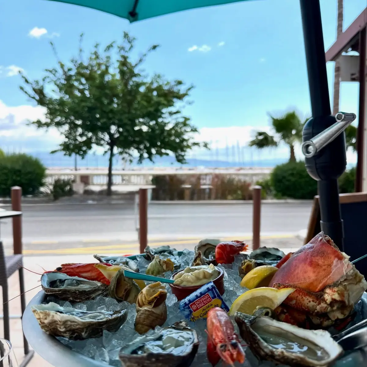 Oyster Bar_La Ciotat