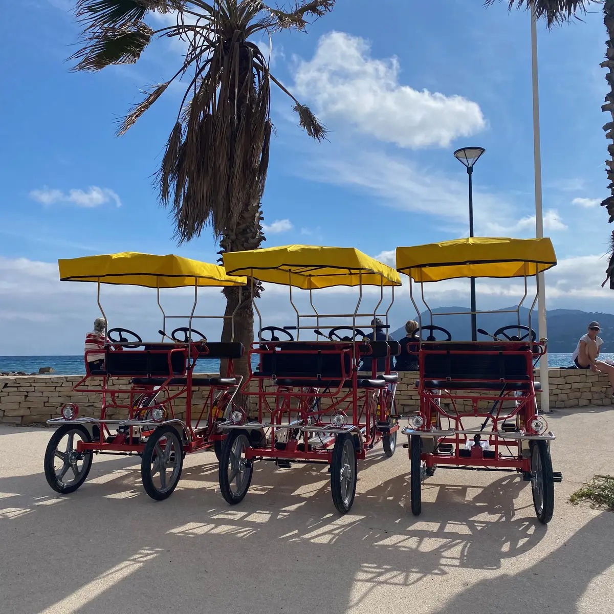 Location de rosalies